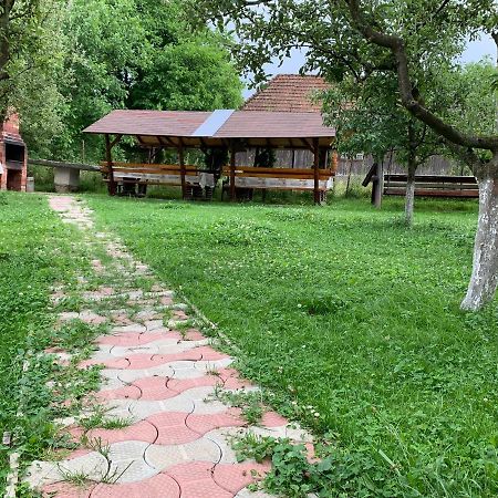 Готель Vila Mogan Моєчу-де-Жос Екстер'єр фото