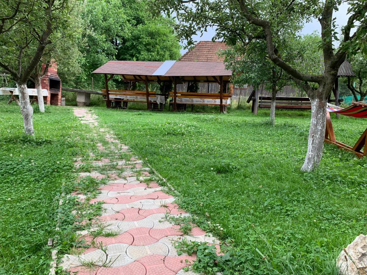 Готель Vila Mogan Моєчу-де-Жос Екстер'єр фото